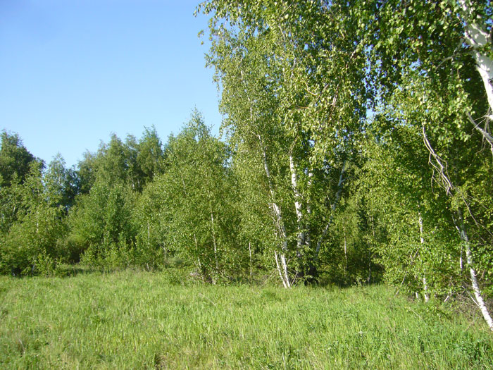 Аркаим