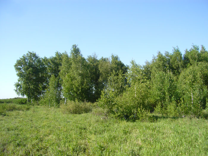 Аркаим